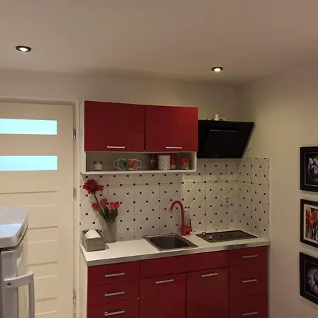 Red&white Lower Ground Floor *